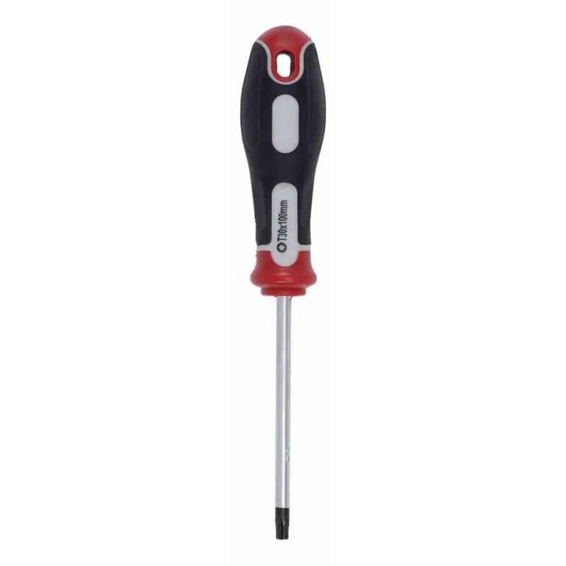 Kατσαβίδι S2 Torx 30x100mm