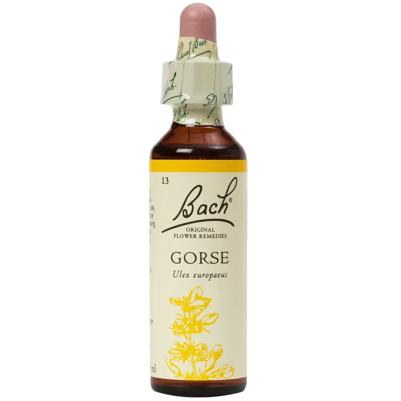 Bach Gorse Συμπλήρωμα Διατροφής Ανθοϊάματος με Εκχύλισμα Ράχου για Ψυχική & Πνευματική Ανάταση που Χαρίζει Αυτοπεποίθηση 20ml