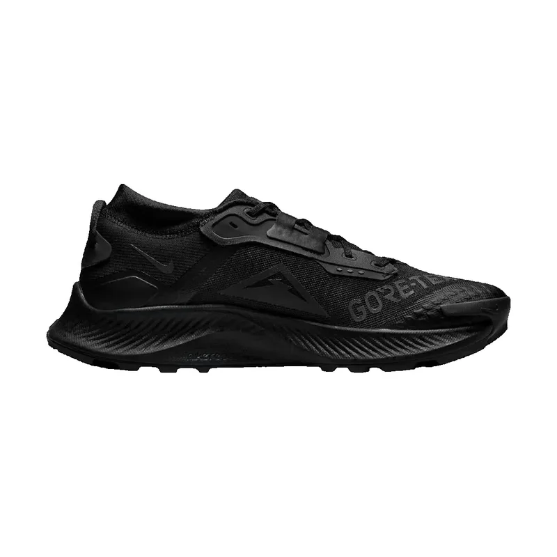 Παπούτσια Sport Nike Pegasus 3 Gtx