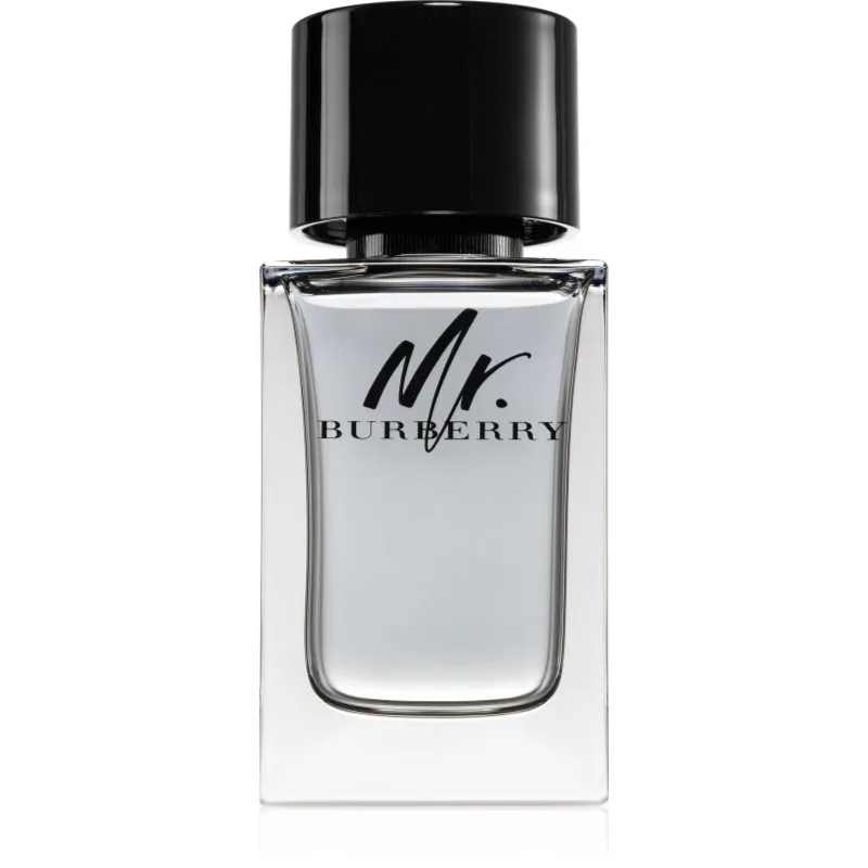 Burberry Mr. Burberry Eau de Toilette για άντρες 100 μλ