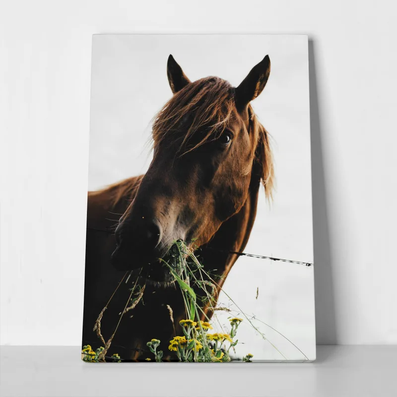 Πίνακας σε Καμβά RUSTIC FARMHOUSE HORSE EATING 2