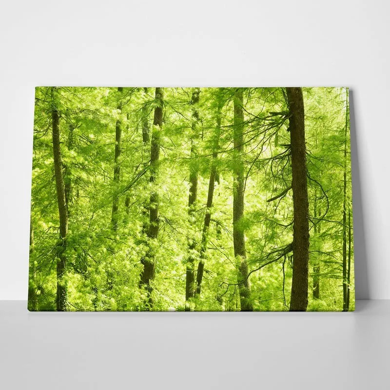 Πινακας σε καμβά GREEN FOREST