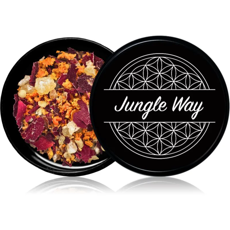 Jungle Way Creative Thoughts θυμιάματα 15 γρ