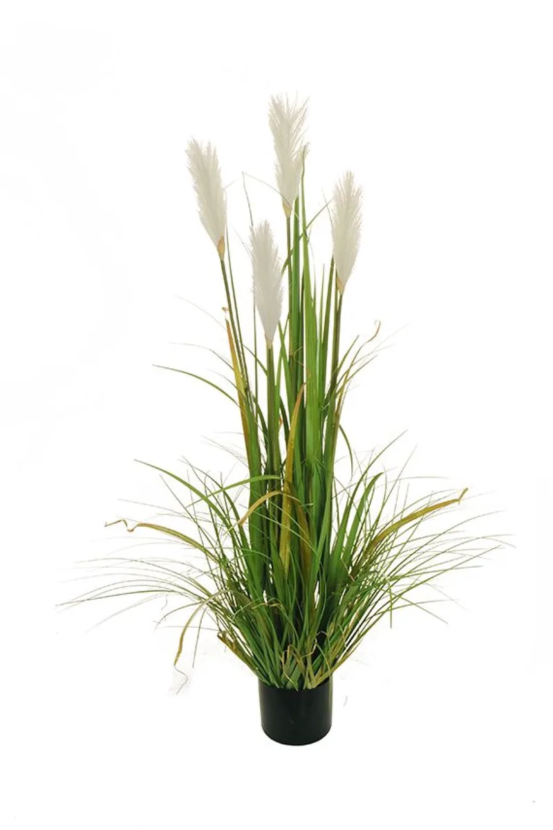 Γρασιδι Pampas Σε Γλαστρα 120Cm 0x0x120cm Μονόχρωμο Evergreens