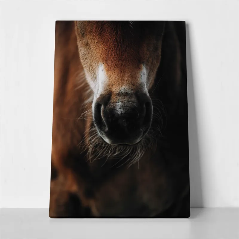 Πίνακας σε Καμβά RUSTIC FARMHOUSE HORSE