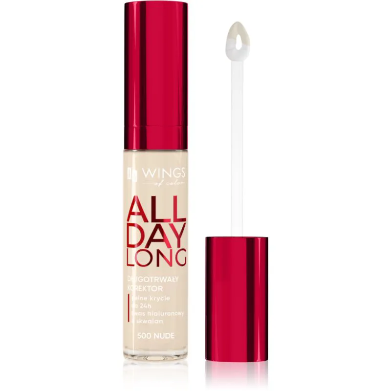 AA Wings of Color All Day Long Long Lasting Concealer υγρό κονσίλερ απόχρωση 500 Ivory 6.2 γρ