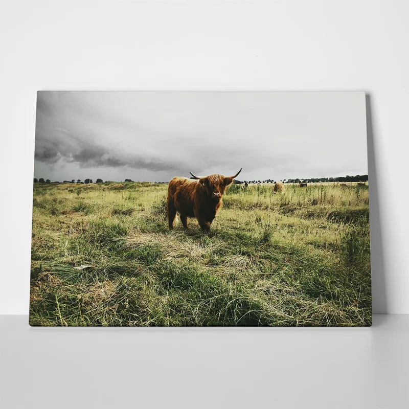 Πίνακας σε Καμβά RUSTIC FARMHOUSE COW 14