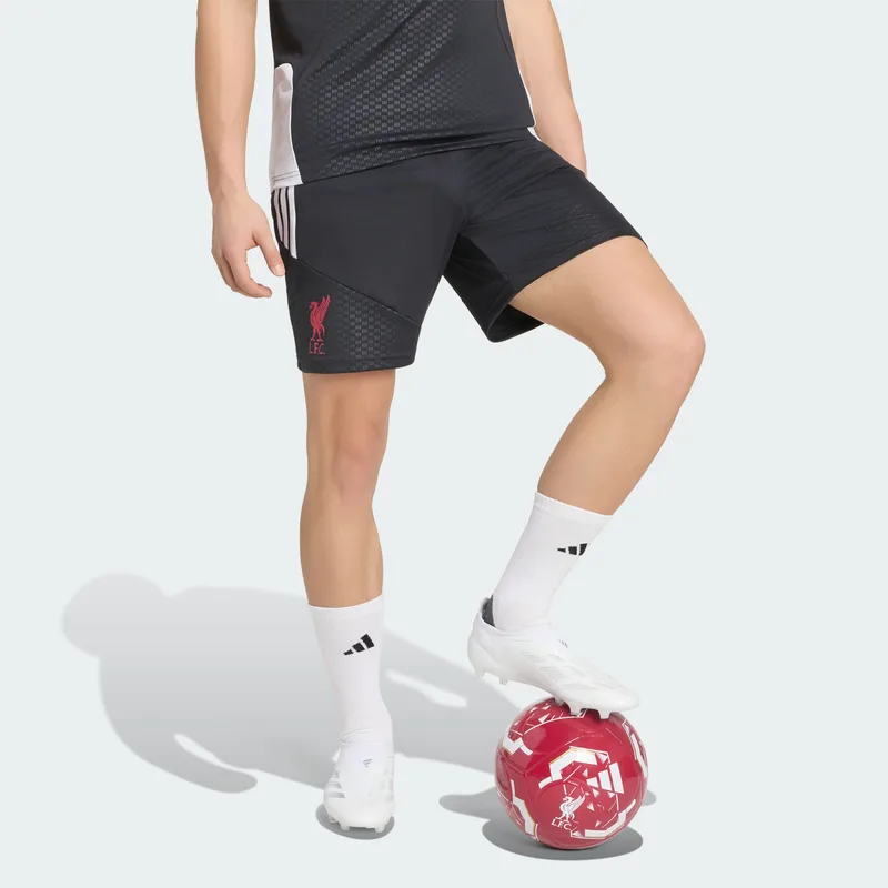 adidas M Liverpool Fc 26/27 Tiro Training Shorts (9000288156_1469)