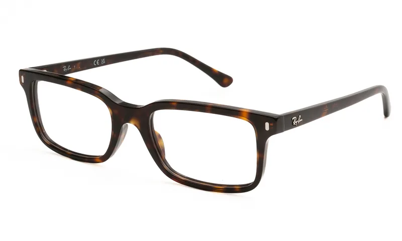 RAY BAN ΣΚΕΛΕΤΟΣ ΟΡΑΣΕΩΣ RAY BAN 5445 2012 5219 5445 Ταρταρούγα