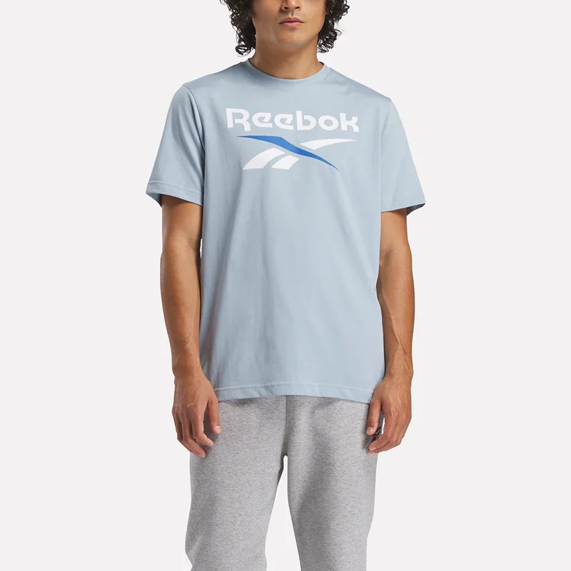 Reebok Identity Classics Big Logo Ανδρικό T-Shirt (9000212042_82776)