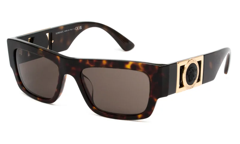 VERSACE ΓΥΑΛΙΑ ΗΛΙΟΥ VERSACE 4416U 108/3 5318 4416U Ταρταρούγα