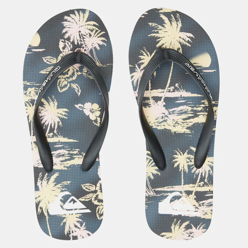 Quiksilver Molokai Air Flow Ανδρικές Σαγιονάρες (9000147365_6813)