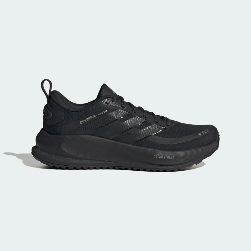 adidas W Supernova Ease 2 Gtx Running Shoes (9000281032_63393)