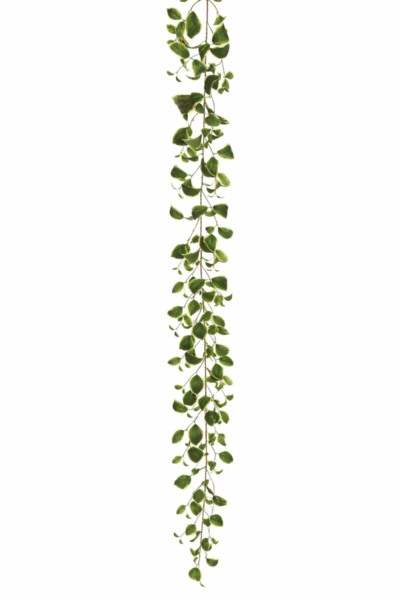 Γιρλαντα Ευωνυμου 0x0x170cm Μονόχρωμο Evergreens