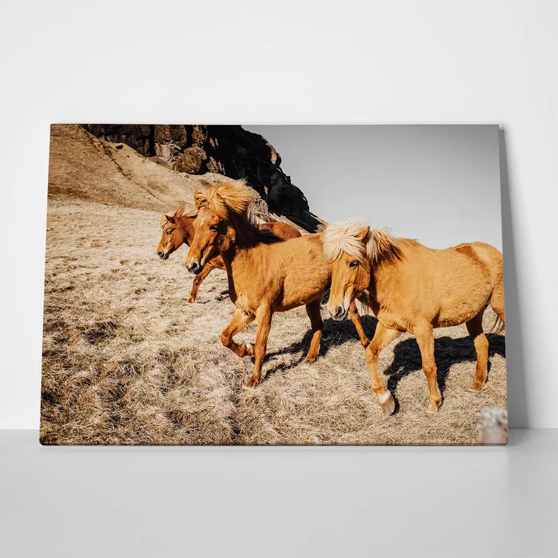 Πίνακας σε Καμβά RUSTIC FARMHOUSE HORSES 4