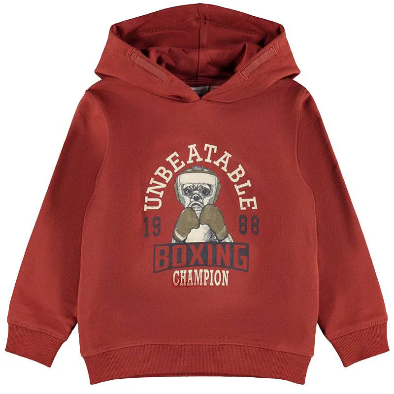 HOODIE NAME IT 13193550 NMMNALLON ΚΕΡΑΜΙΔΙ (116 CM)-(6 ΕΤΩΝ)