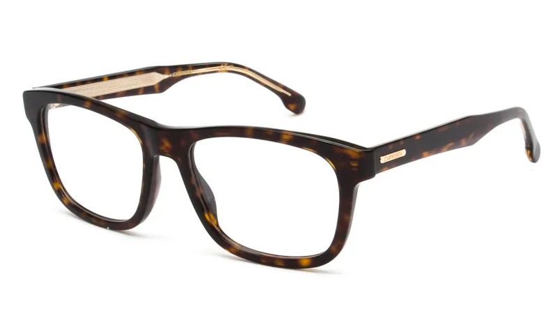 CARRERA ΣΚΕΛΕΤΟΣ ΟΡΑΣΕΩΣ CARRERA CARRERA 249 086 5518 CARRERA 249 Ταρταρούγα