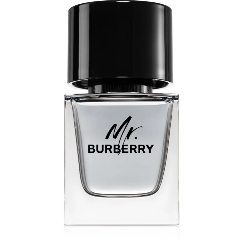 Burberry Mr. Burberry Eau de Toilette για άντρες 50 ml