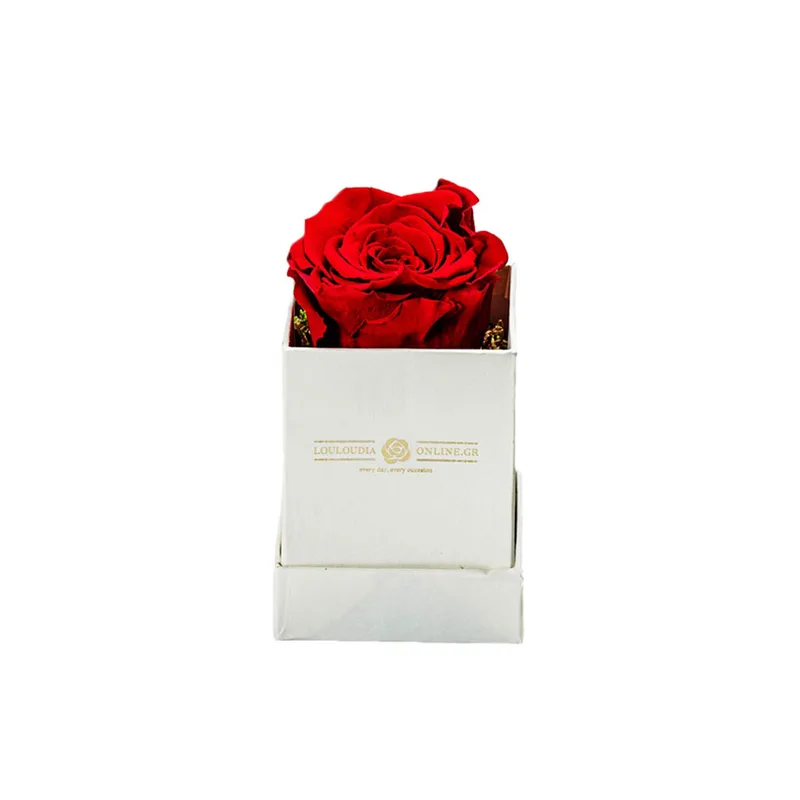 Forever Roses Κόκκινα Essential 6x9cm