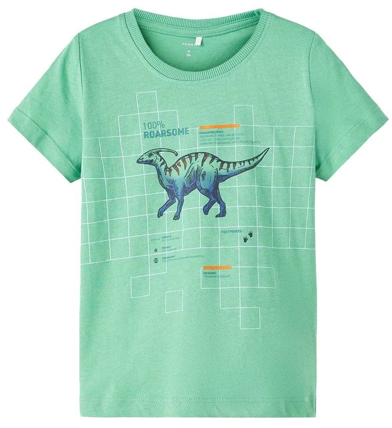 T-SHIRT NAME IT 13213252 NMMBERT ΠΡΑΣΙΝΟ (104 CM)-(4 ΕΤΩΝ)