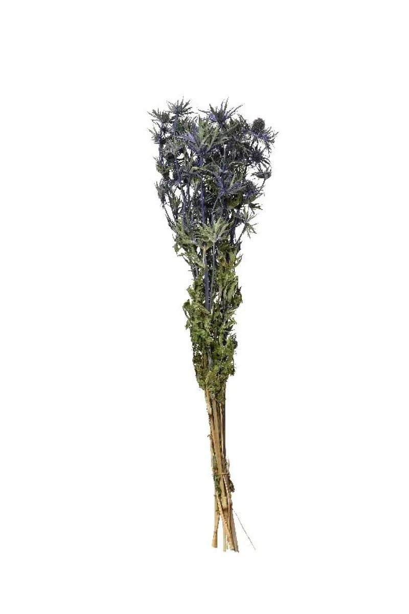 Μπουκετο Αποξηραμενο 55Cm 14x14x55cm Μπλέ Kaeming