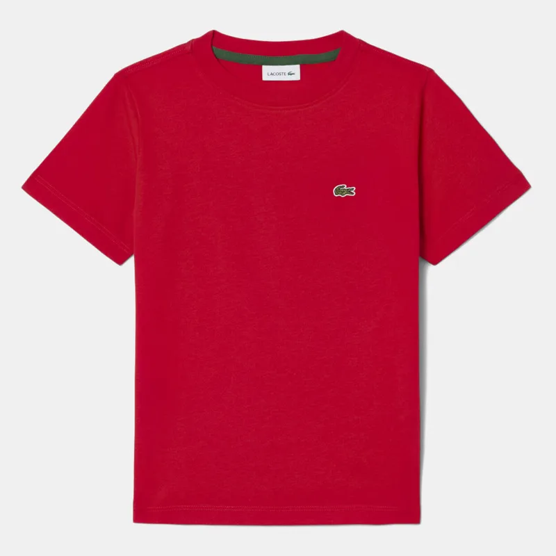 Lacoste Tee Shirts (9000267360_6806)