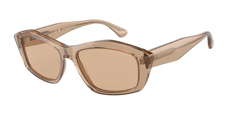 Sunglasses Emporio Armani Women EA4187-506973 (Lens/Bridge/Temple) 55/16/140 mm
