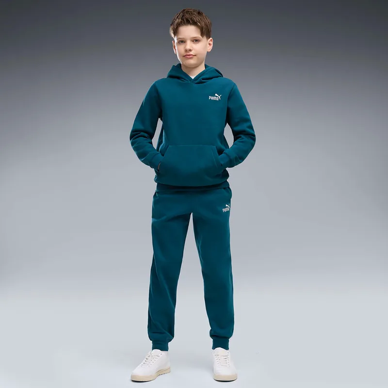 Fleece Puma Ess 2 Color Small No. 1 Logo Hoodie Fl B
