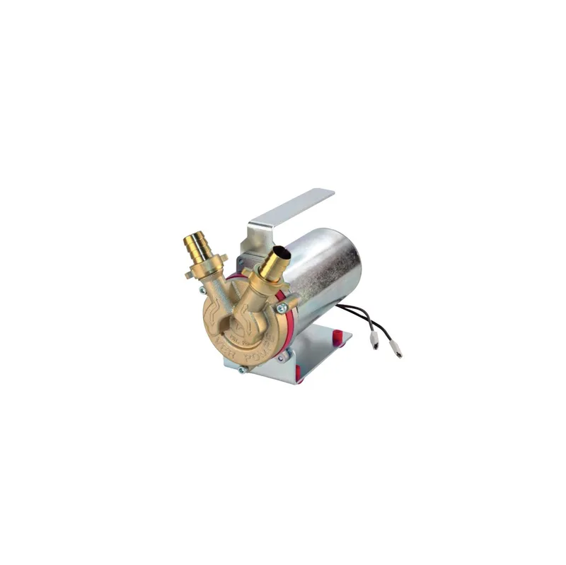 ηλεκτραντλια rover marina mini 20-24v