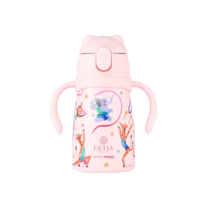 ΘΕΡΜΟΣ ΠΑΙΔΙΚΟ BUBBLE BOTTLE SAVE THE AEGEAN 300ml WILD STUNTS