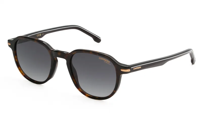 CARRERA ΓΥΑΛΙΑ ΗΛΙΟΥ CARRERA CARRERA 376/S 0869O 5021 CARRERA 376/S Ταρταρούγα
