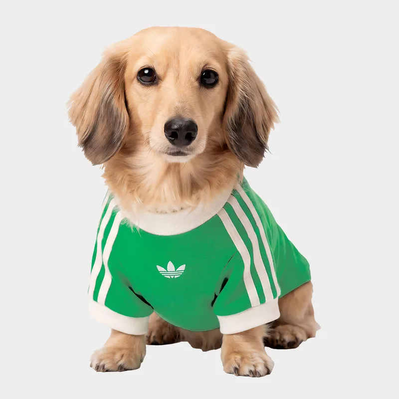 adidas Originals Pet Cali Tee (9000294593_97932)