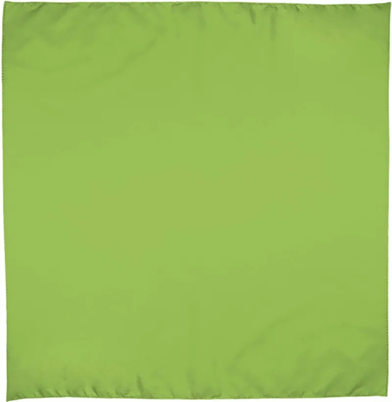 Τετράγωνο κασκόλ BANDANA Valento PNVABANVP Apple Green