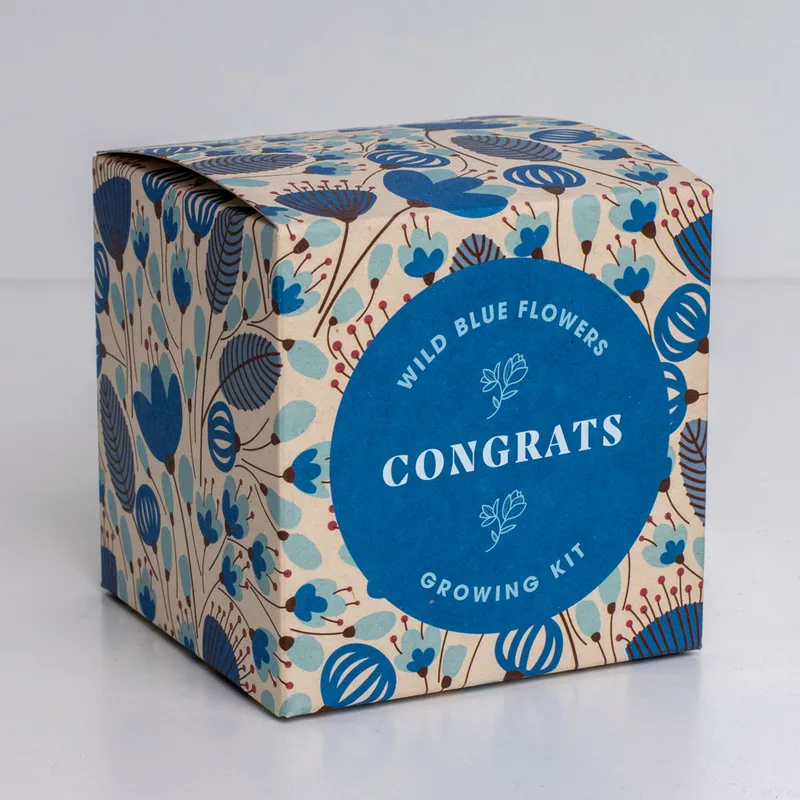 Say it with Flowers Growing Kit (Congrats)