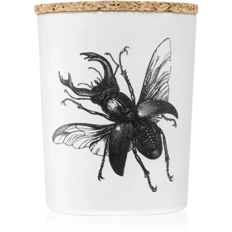 Vila Hermanos Insect Lucanus Cervus αρωματικό κερί 75 γρ