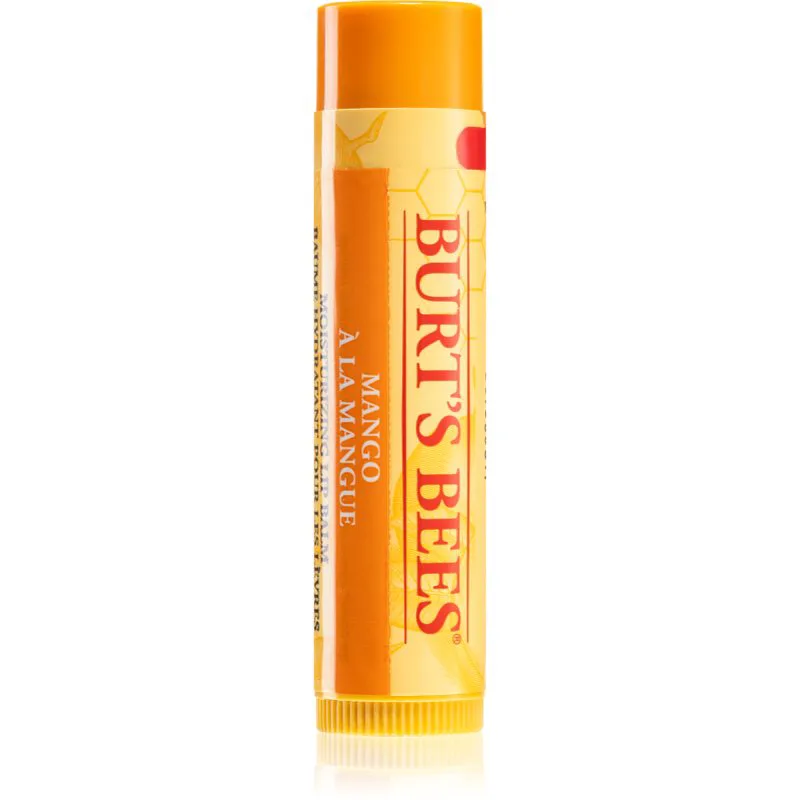 Burt’s Bees Lip Care θρεπτικό βάλσαμο για τα χείλη (with Mango Butter) 4,25 γρ