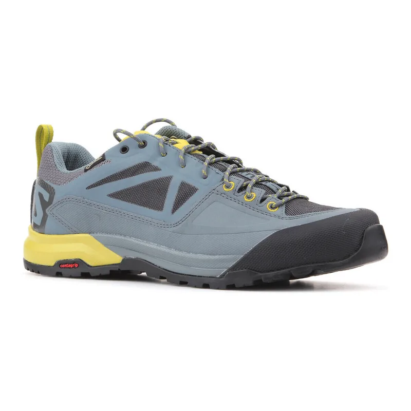 Πεζοπορίας Salomon X Alp SPRY GTX 401621