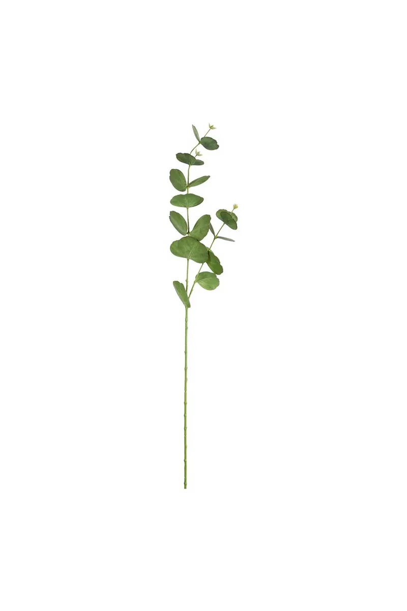 DOMUS HOMUS διακοσμητικό κλαδί ευκάλυπτος 77 cm - 20-31-225