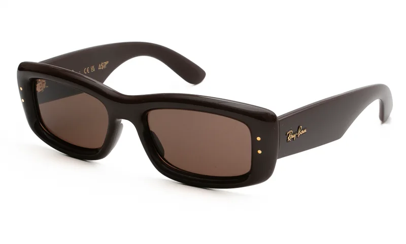 RAY BAN ΓΥΑΛΙΑ ΗΛΙΟΥ RAY BAN 4944 687773 5519 4944 Καφέ
