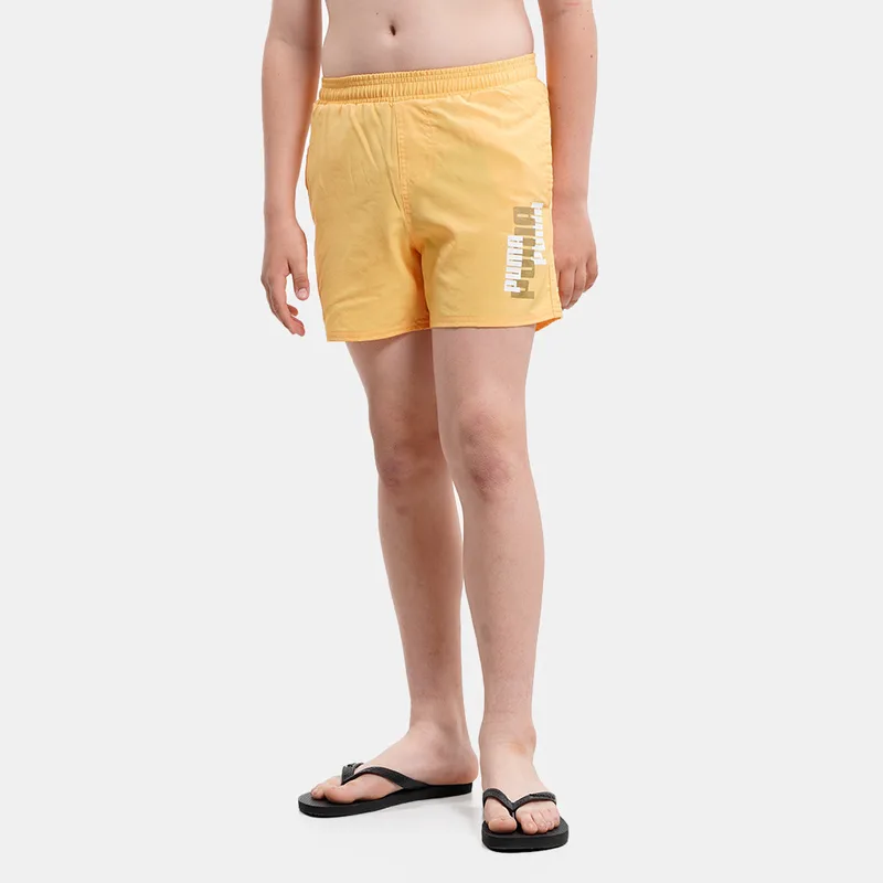 Puma Ess+ Logolab Woven Shorts B (9000138787_67467)