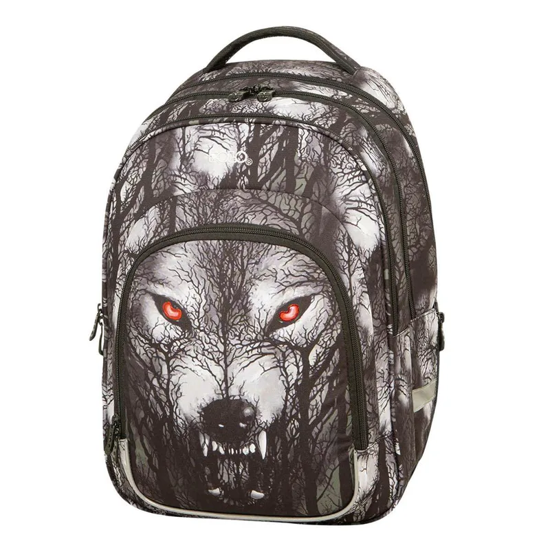 Σακίδιο Polo Ace Wolf Πολύχρωμη 901047-8283 (2024)