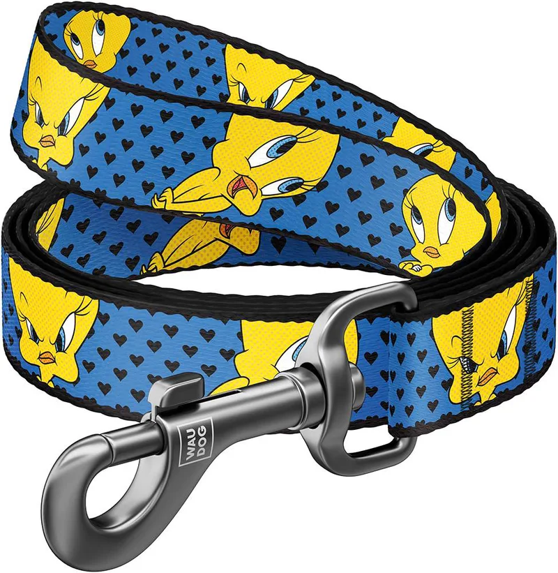 ΛΟΥΡΑΚΙ WAUDOG LOONEY 4 (25MM X 122CM)