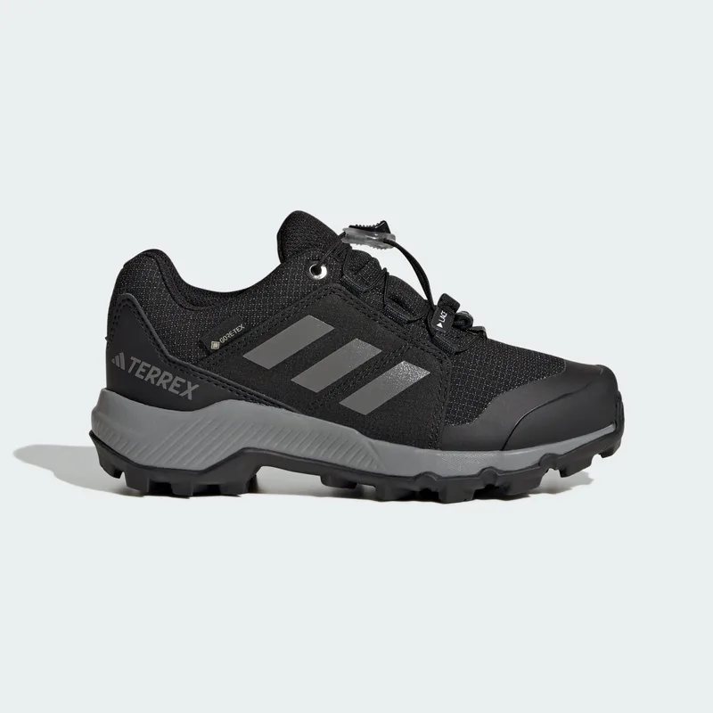adidas Terrex Gore-Tex Hiking Παιδικά Παπούτσια (9000227103_63370)