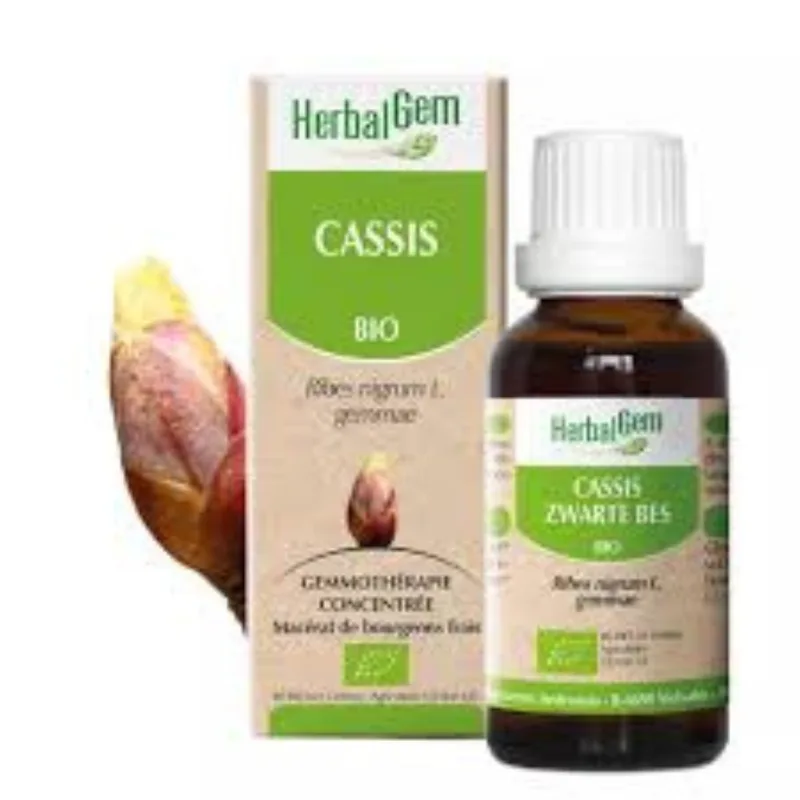 Herbalgem Cassis Bio 30ml