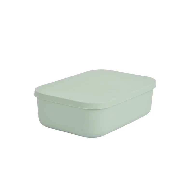 Κουτί Αποθήκευσης (25x17.5x7.6) L-C Sauge 6RAN838VC