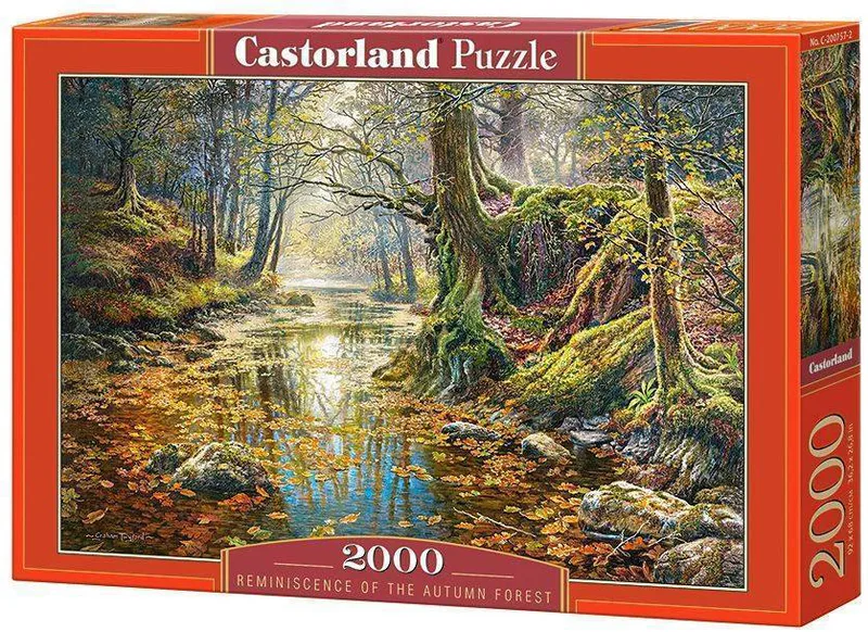 REMINISCENCE OF THE AUTUMN FOREST CASTORLAND 2000 ΚΟΜΜΑΤΙΑ
