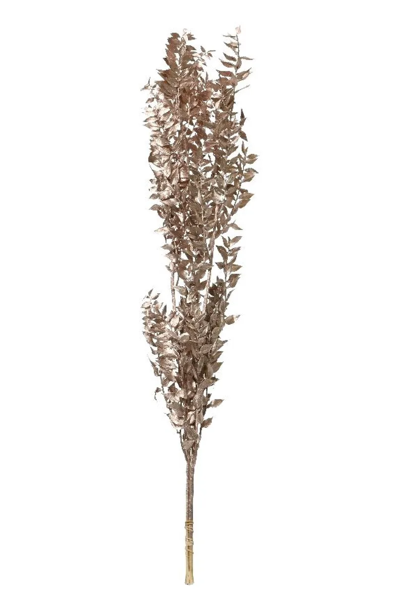 Κλαδι Λαγομηλιας Αποξηραμενο 62x12x4cm Καφέ KAEMING