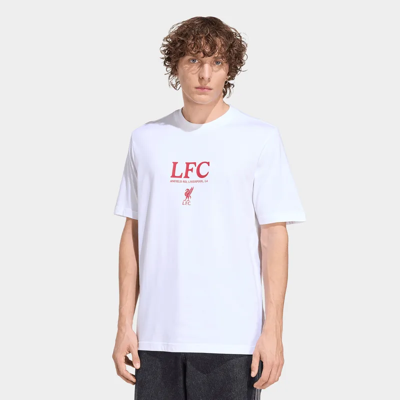 adidas M Liverpool Fc Seasonal Graphic Tee (9000264851_1539)