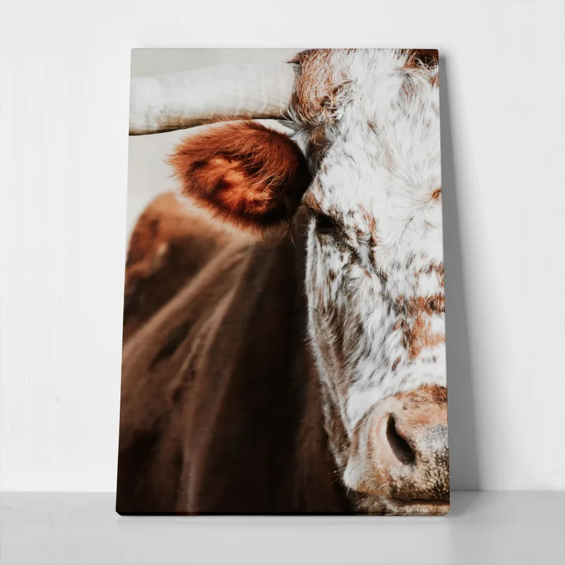 Πίνακας σε Καμβά RUSTIC FARMHOUSE COW 13