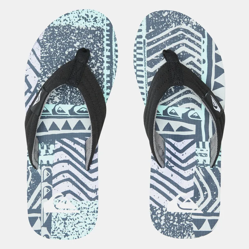 Quiksilver Molokai Layback Ανδρικές Σαγιονάρες (9000147368_68625)
